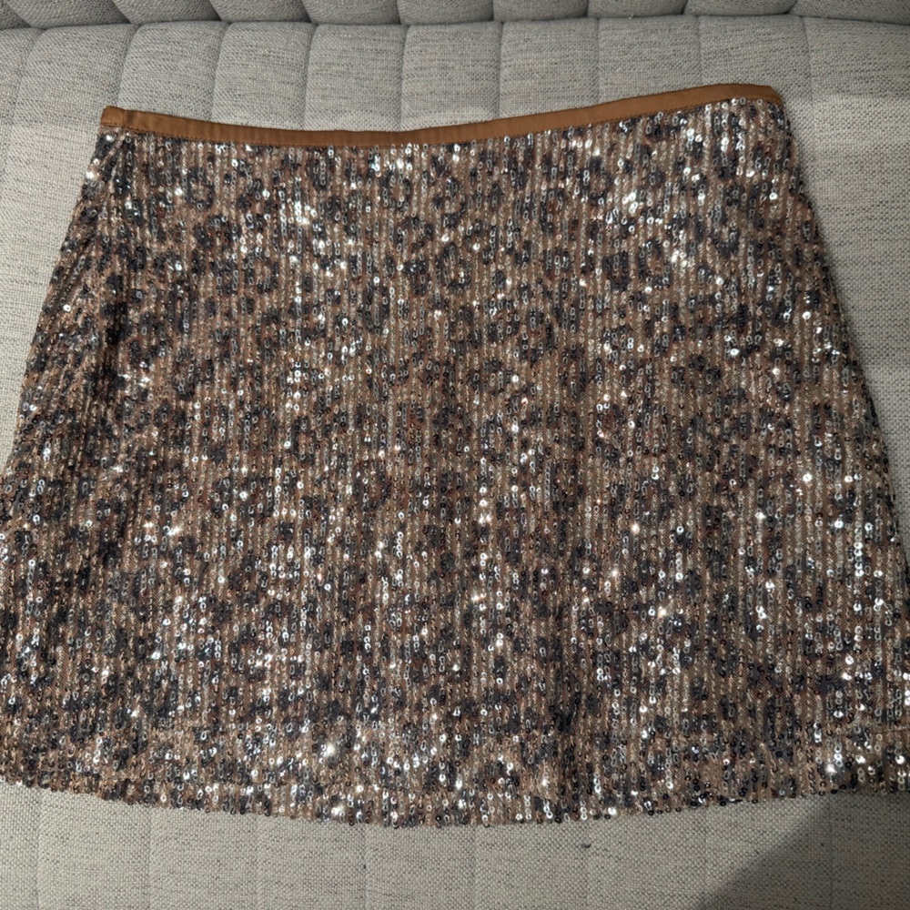 Zara sequin skirt